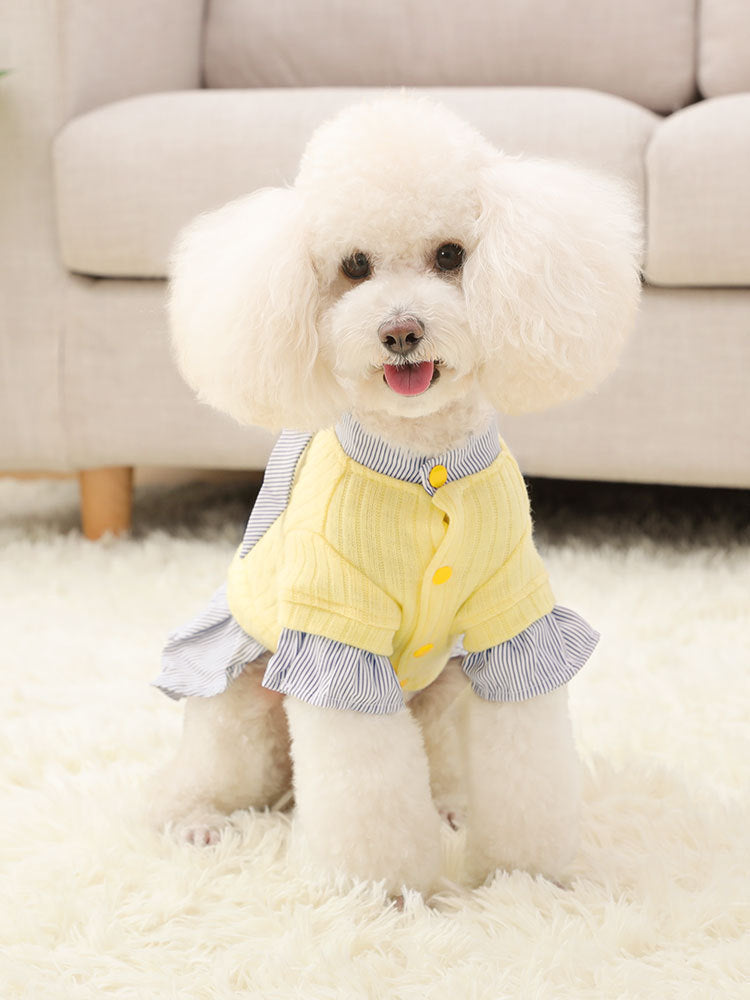 Cozy Knit Dog Clothes – Trendy Striped Shirt Dresses for Small Dogs Autumn And Winter Clothes