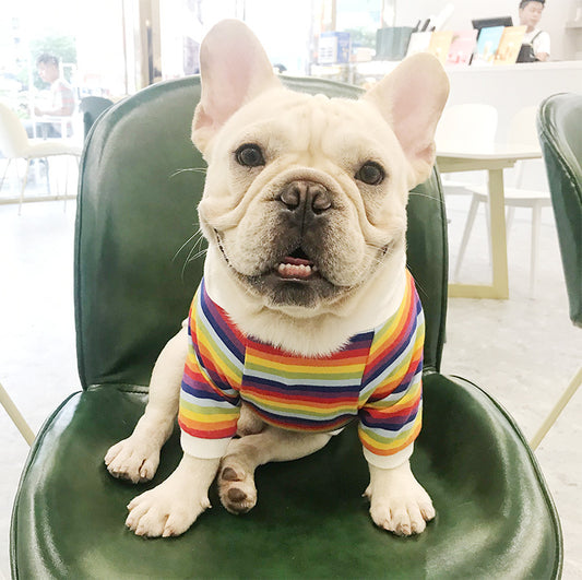 Trendy Striped Dog Sweater - Stretch Cotton Pet Pullover