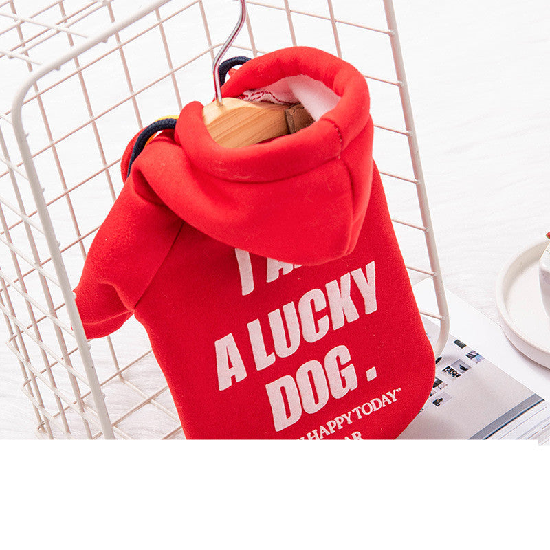 Cozy Pet Sweater – Classic English-Style Knit for Cats & Small Dogs