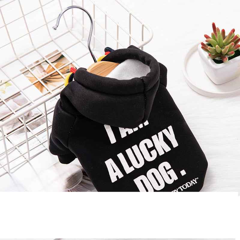 Cozy Pet Sweater – Classic English-Style Knit for Cats & Small Dogs